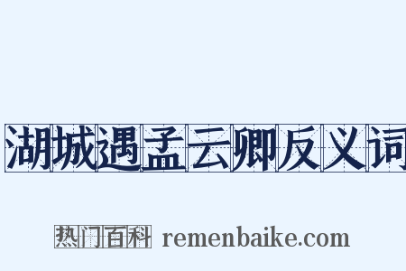 湖城遇孟云卿反义词是什么意思的图片